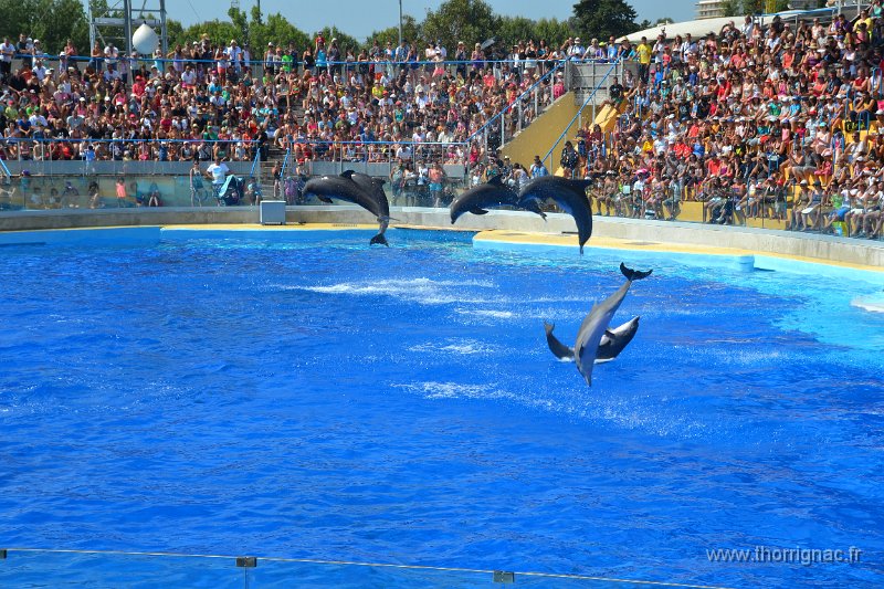 Marineland aout 2014 49.JPG - Marineland - Parc d'attractions aquatiques - Antibes - Août 2014